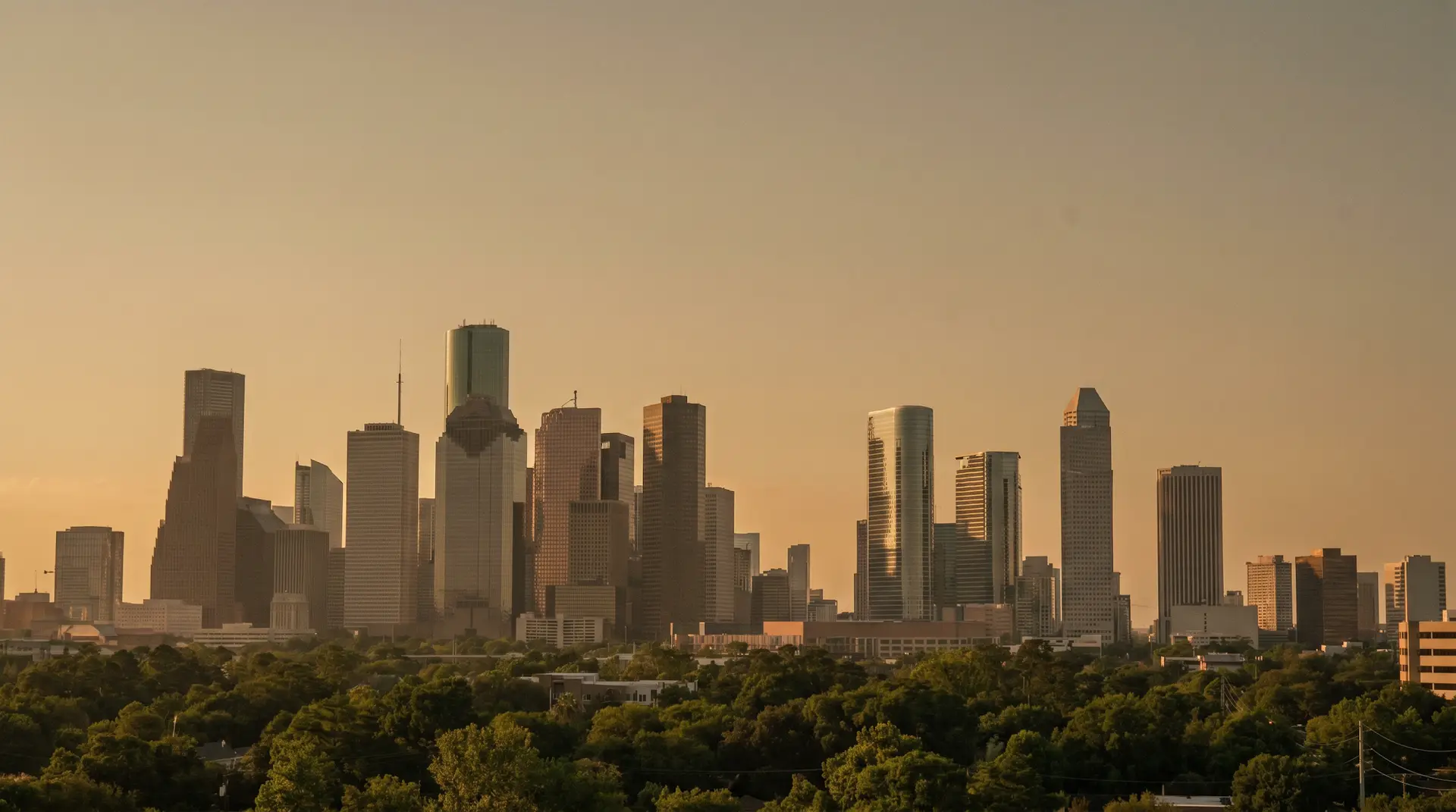 El horizonte del centro de Houston sobre el dosel de árboles